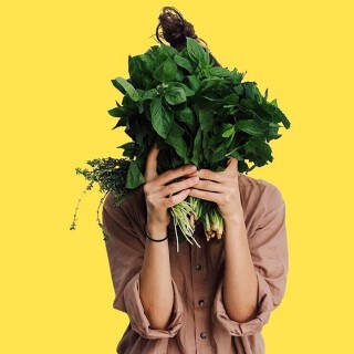 ルートツー青果 東寺店の画像