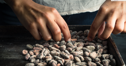 ダンデライオン・チョコレート ファクトリー&カフェ蔵前の画像
