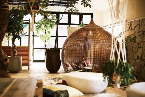 ボタニカルデッキの画像