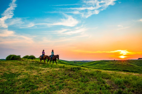 エル・パティオ牧場の画像