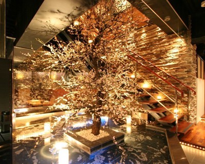 ウメ子の家　名古屋太閤通口店「co33231」の画像