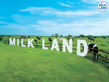 MILKLAND HOKKAIDO → TOKYOの画像
