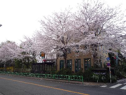 カフェ　フェリーチェの画像