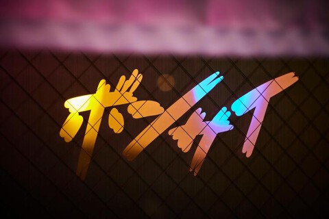 ボンサイの画像