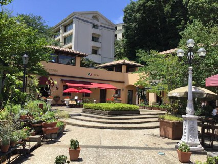 アンリ・フィオーレの画像