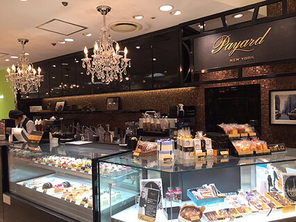 パイヤールの画像