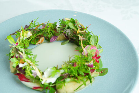 白馬 VIVEの画像