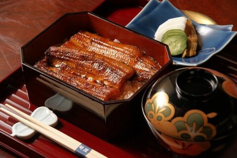 日本料理 菊屋の画像