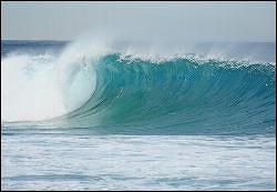 居酒屋　日本橋の画像