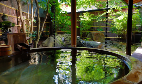 坂聖・玉樟園株式会社の画像