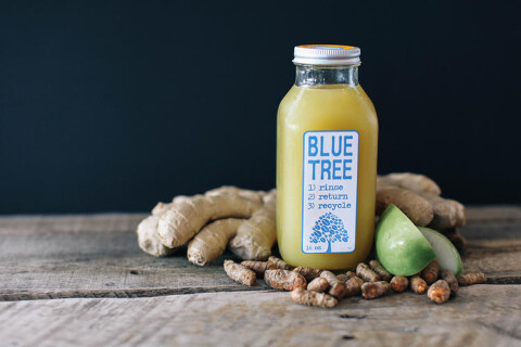 bluetreeの画像
