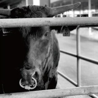 やまさん阪本商店株式会社の画像