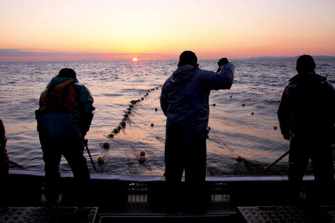 名称未定 銀座店の画像