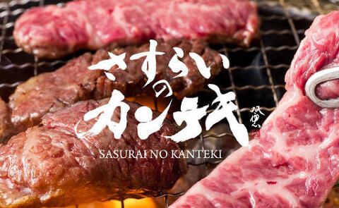 さすらいのカンテキの画像