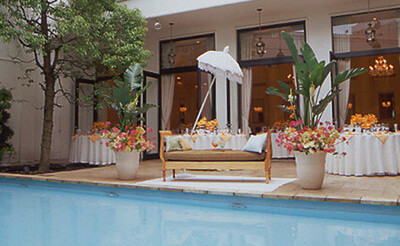 アーフェリーク白金の画像