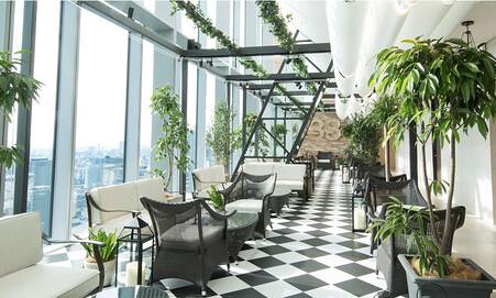 The 33 Sense of Wedding TEA＆BAR TERRACEの画像