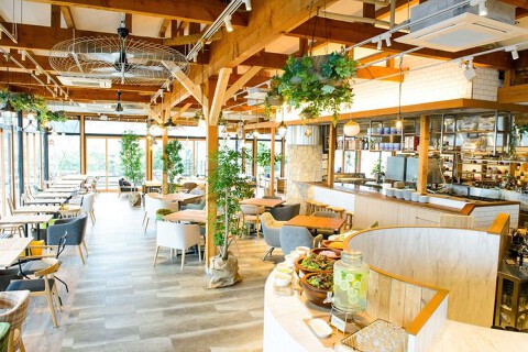 kino COCOCHIの画像