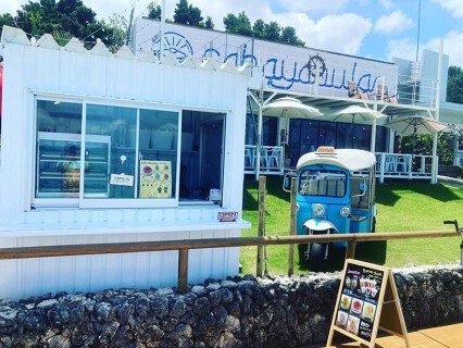 チャハヤブランの画像