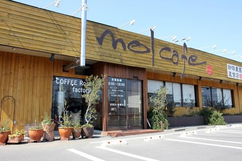 mol cafeの画像