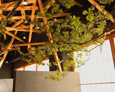 Beef Plus (仮称)の画像