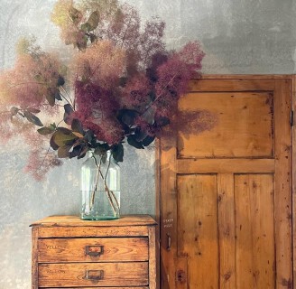 2eme MAISONの画像