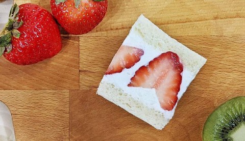 ももの樹の画像