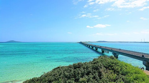 宮古牛 鉄板焼 ユキシオステーキの画像