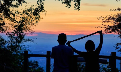 タカオネの画像