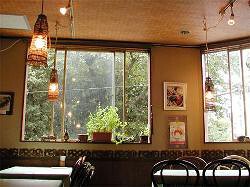 マレーチャンの画像