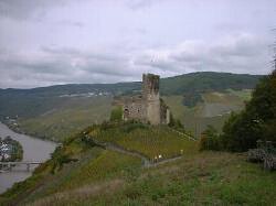 ワインバー・カフェ　Rieslingの画像