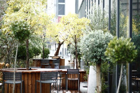 IL GHIOTTONE di piuの画像