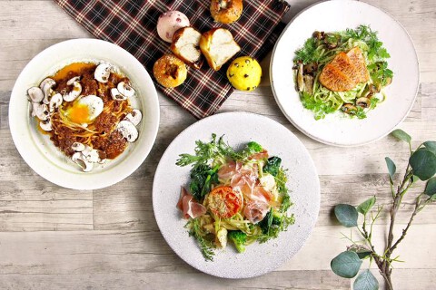 TOOTH TOOTH FISH IN THE FOREST の画像