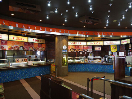 レッドシーダーの画像