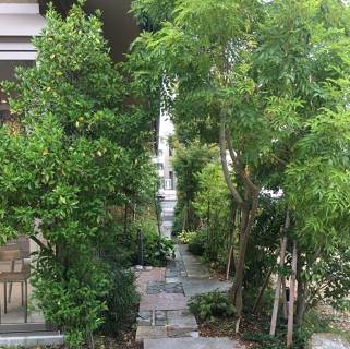 初代 鷺沼店の画像