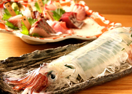 横浜イカセンターの画像