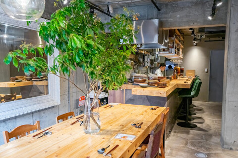 ソミトスの画像