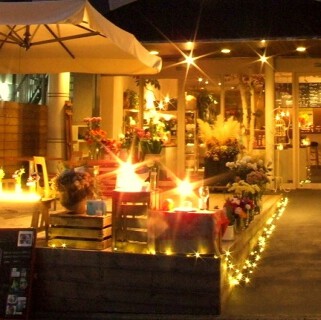 クラゲストアの画像