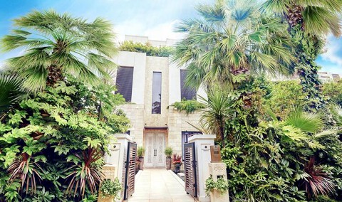 表参道TERRACEの画像