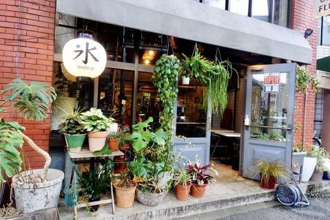 終日oneの画像