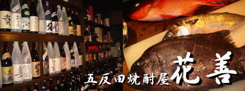 花善の画像