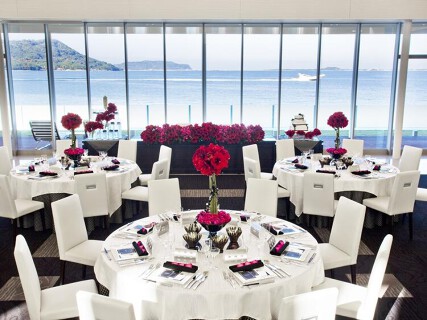 ノートルダム マリノアの画像