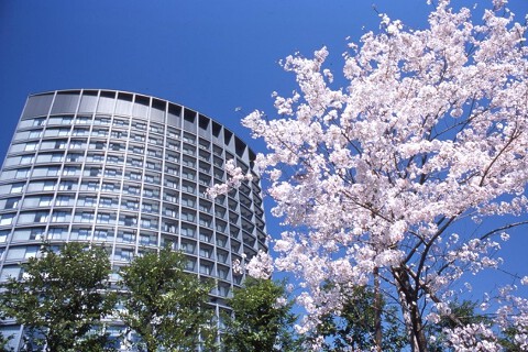 ホテルグランドアーク半蔵門の画像