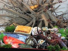 すし魚遊　桜木町店　の画像