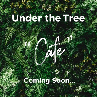 Under The Tree の画像