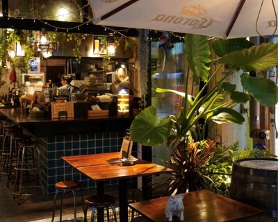 the transit tokyo -warung bali-の画像