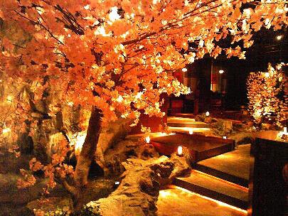 川の音　赤坂の画像