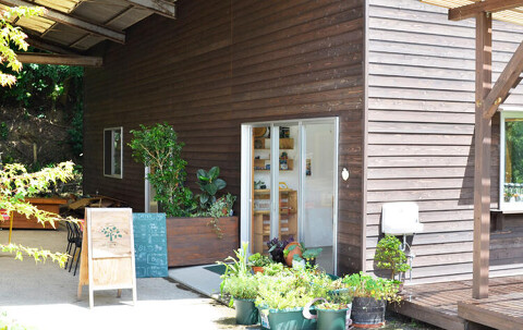 森のカフェ 緑の詩の画像