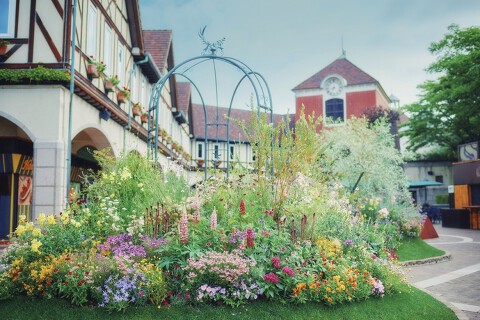 ザ・ハーブダイニング ～神戸布引ハーブ園内レストラン～の画像