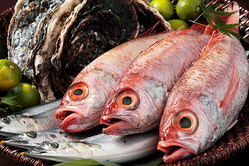 新店【素材のこだわりのダイニング】の画像