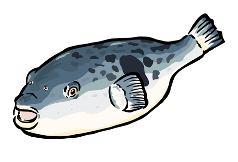 和風料理 かどで家の画像